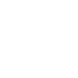 XTint Logo