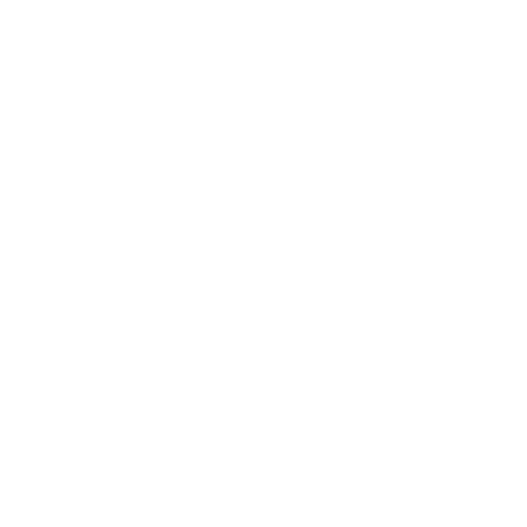 XTint Logo